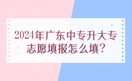 2024年廣東中專升大專志愿填報怎么填?