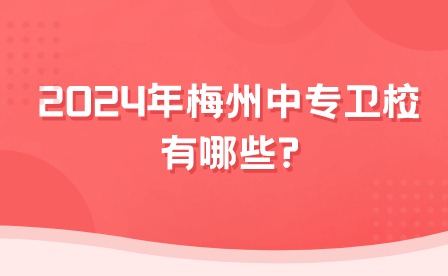 2024年梅州中專(zhuān)衛(wèi)校有哪些?