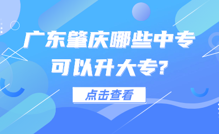 廣東肇慶哪些中?？梢陨髮?