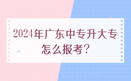 2024年廣東中專升大專怎么報(bào)考?
