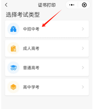 選擇類型